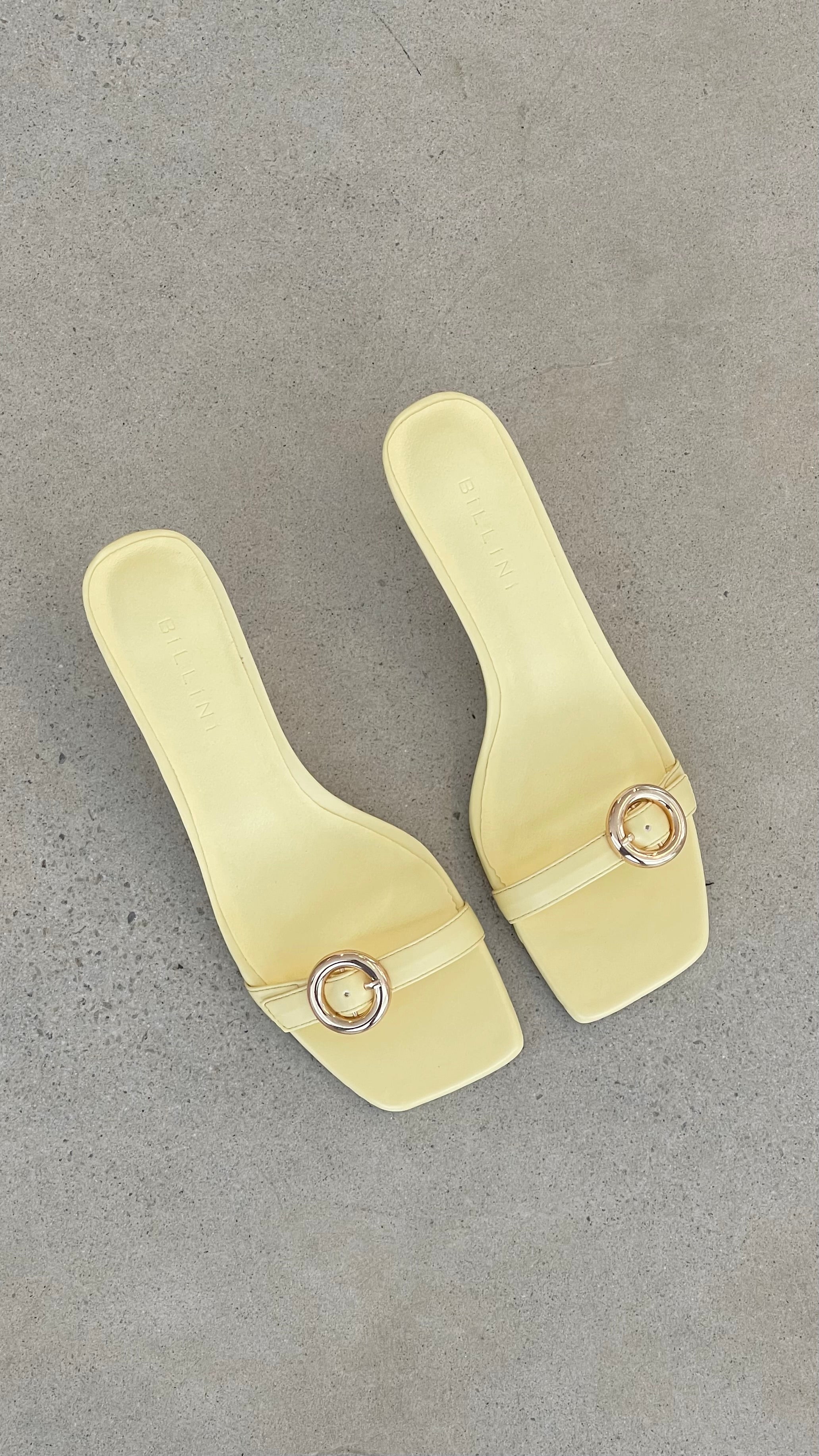 Lyon Heel - Daffodil